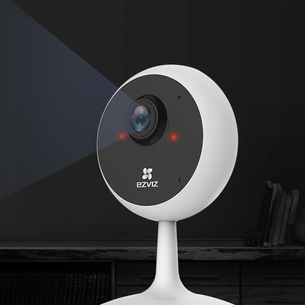 Nanny Cameras